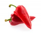 paprika crvena šilja pijaca obrenovac