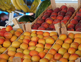 pijaca obrenovac dostava voca povrca