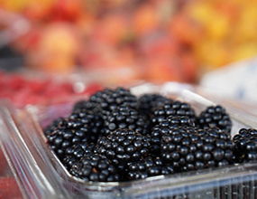 pijaca obrenovac dostava voca povrca