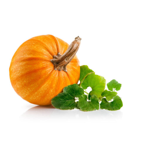 tikva pijaca obrenovac