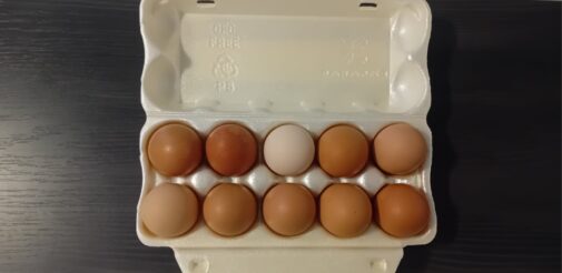 Kutija sa jajima