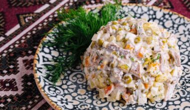 Ruska salata na šarenom tanjiru