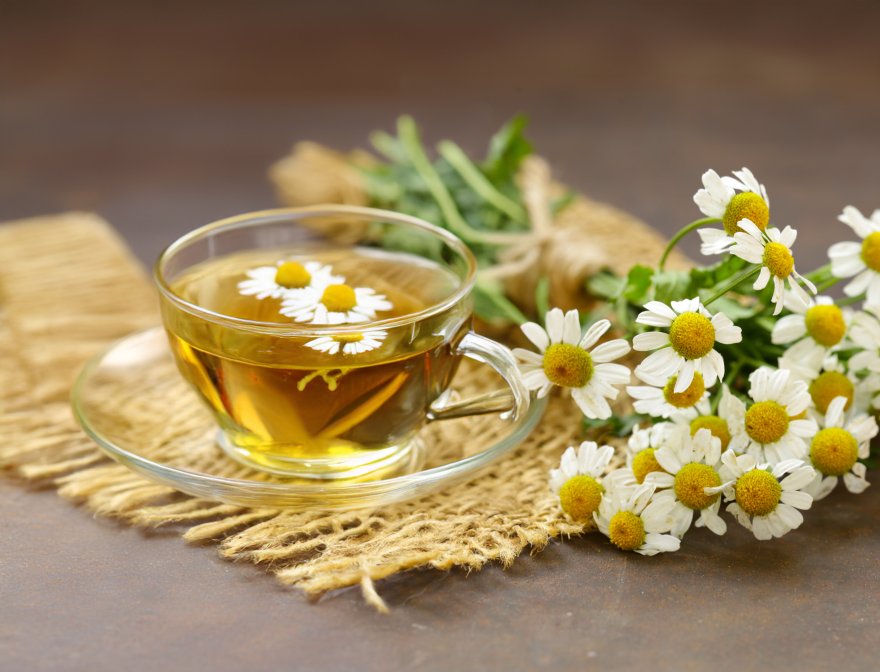 Čaj od kamilice u staklenoj šoljici pored cvetova kamilice